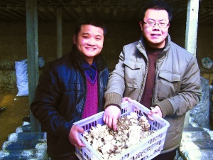 ���������ī