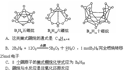 ʦ08߿ѧ٣¿α꿿