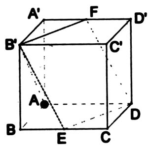 �߿���ѧ��������ռ�ͼ���еĽ�(��ͼ)