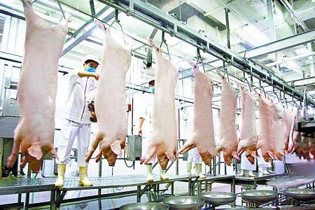 ����˫������������ 